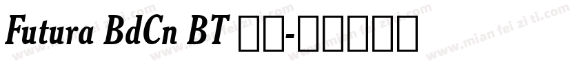 Futura BdCn BT 普通字体转换